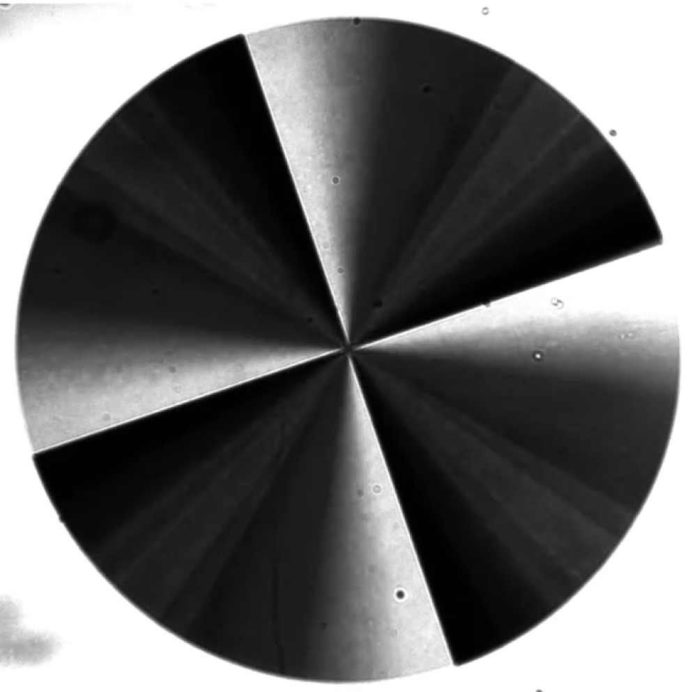 An alignment camera image of a vortex metasurface in the SCALES instrument (from Deno Stelter)